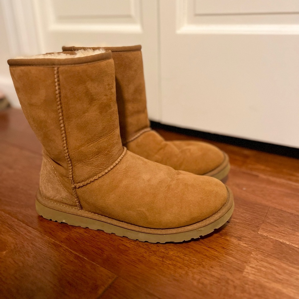 Classic Short Chestnut Uggs Size 8